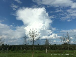 What is Meteorology? - Daan van den Broek What is Meteorology?